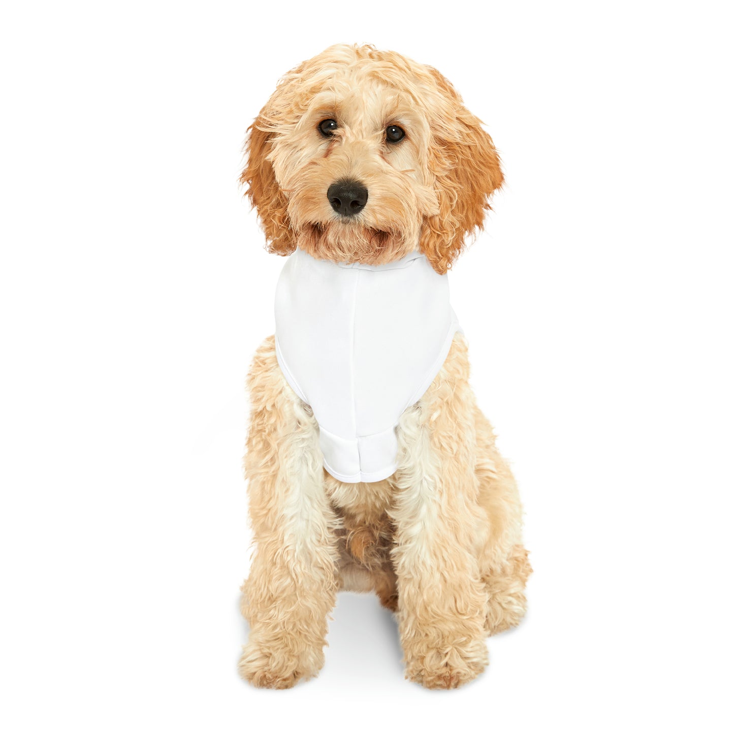 Hey Just Bee Lucky Pet Hoodie