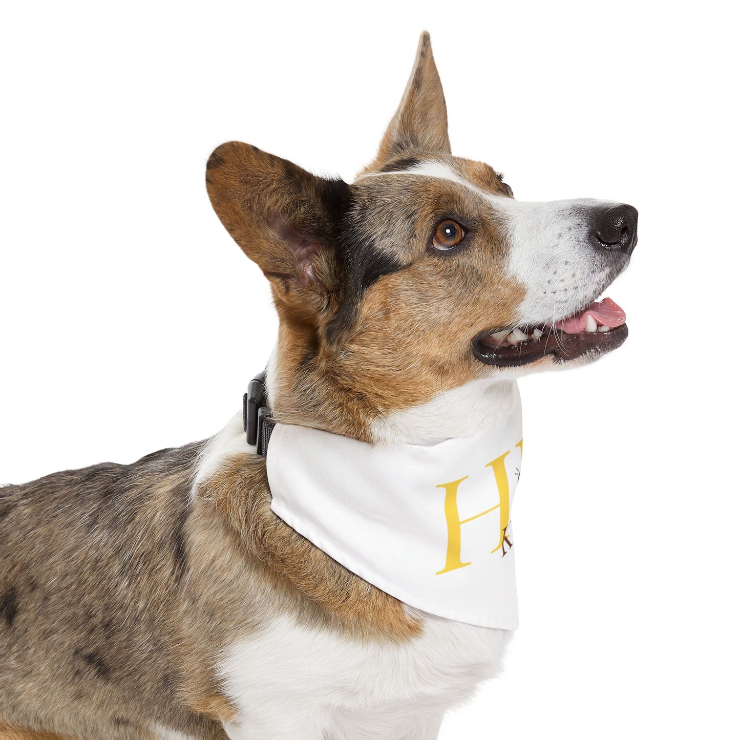 HJB Kind Pet Bandana Collar