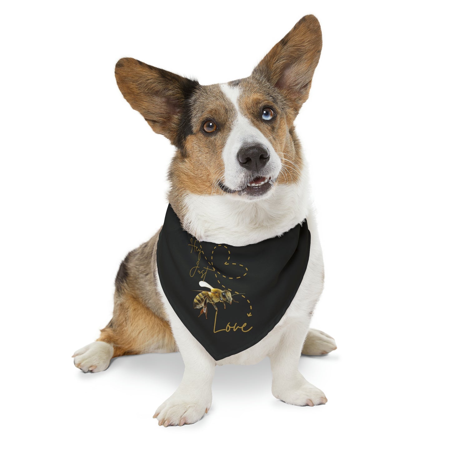 Hey Just Bee Love Pet Bandana Collar