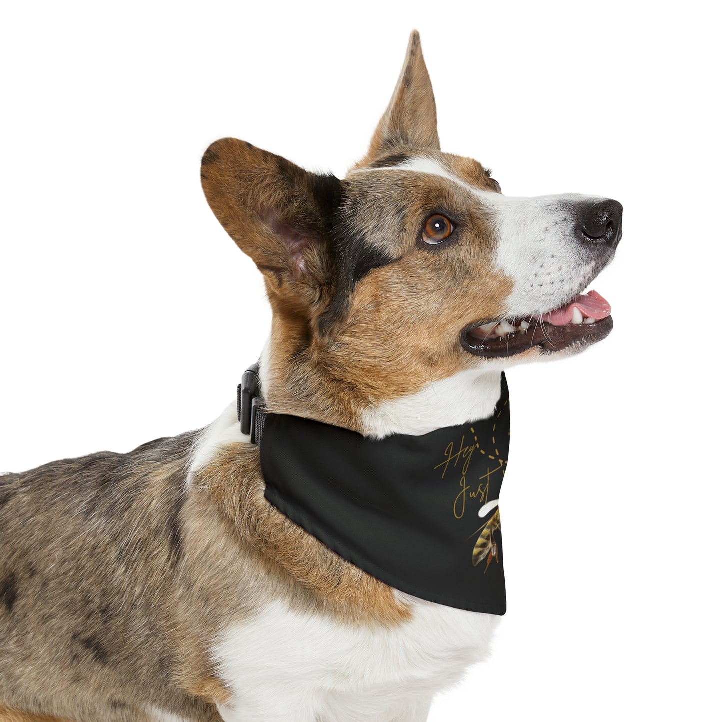 Hey Just Bee Love Pet Bandana Collar