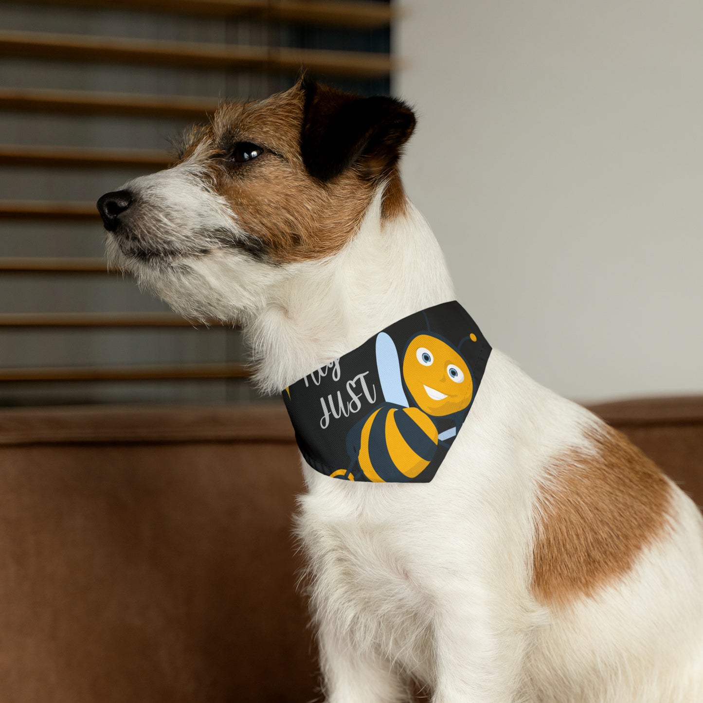 Hey Just Bee Pet Bandana Collar