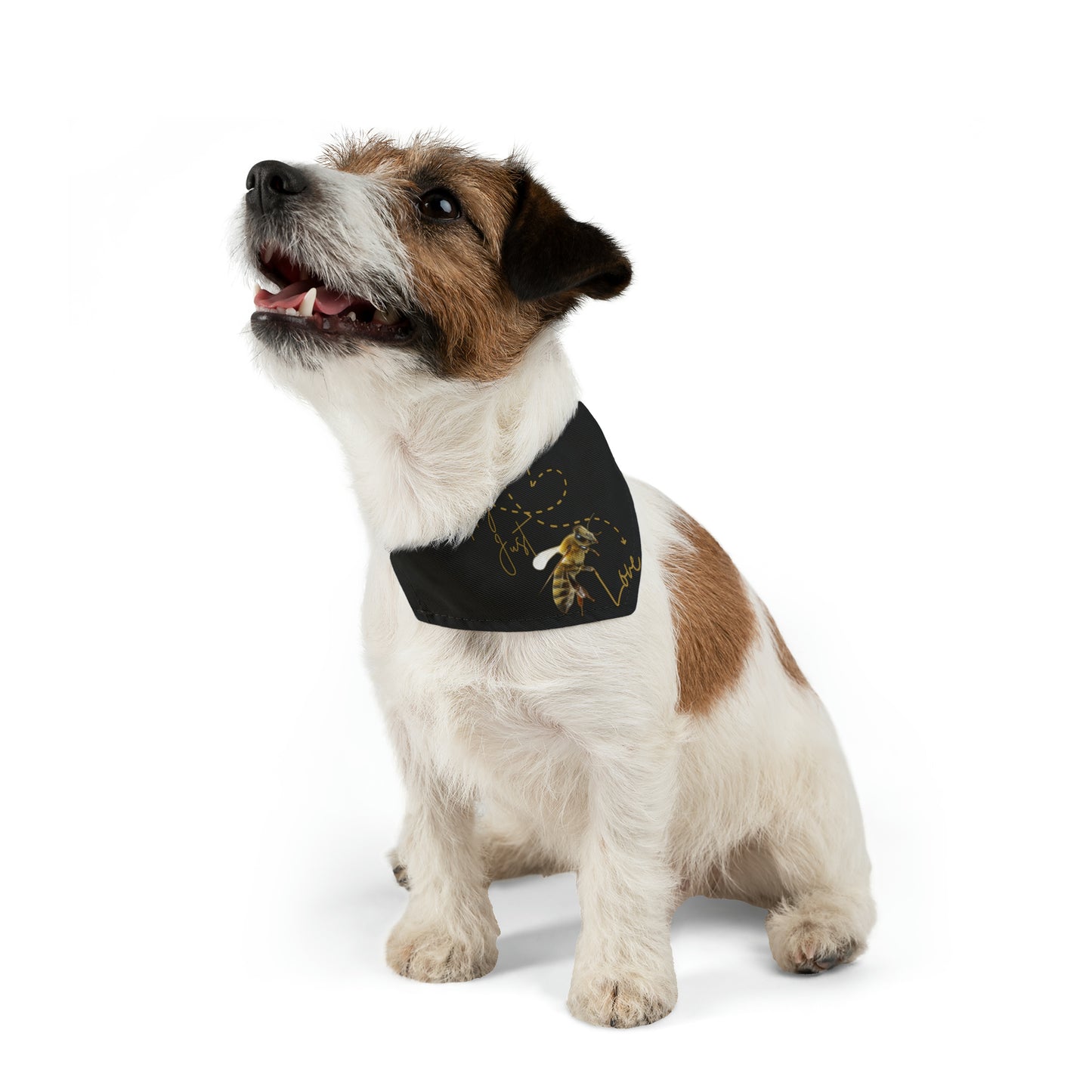 Hey Just Bee Love Pet Bandana Collar