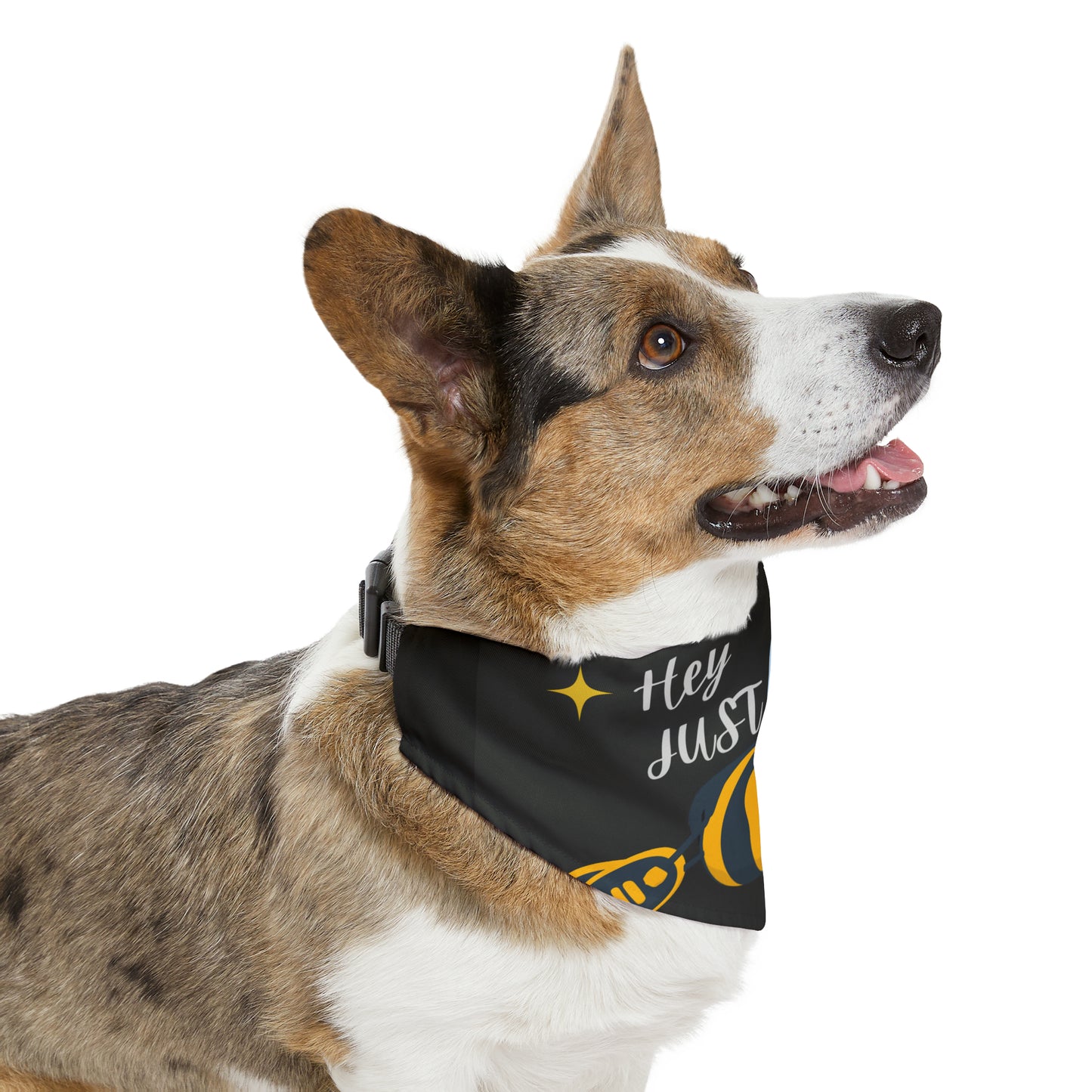 Hey Just Bee Pet Bandana Collar