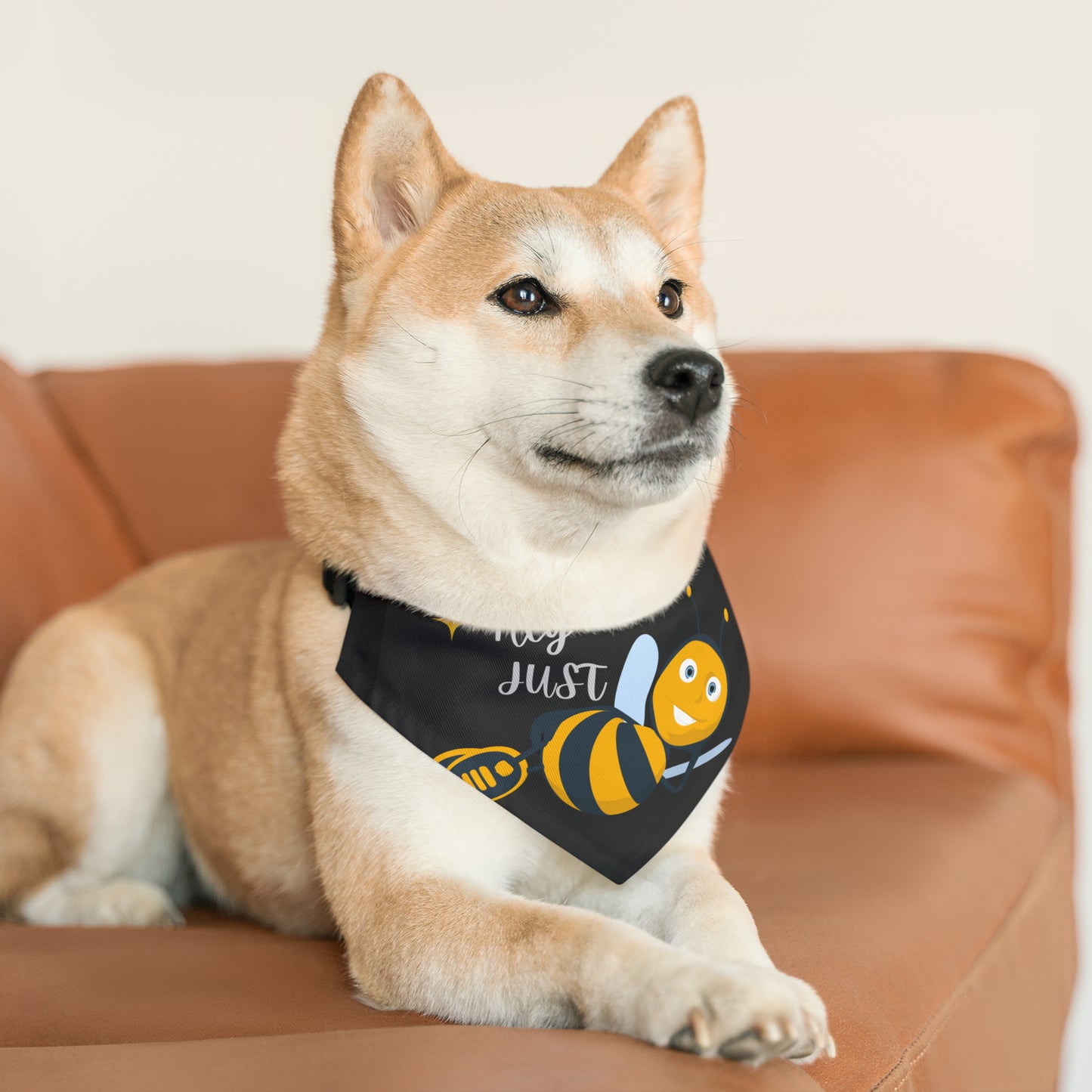 Hey Just Bee Pet Bandana Collar