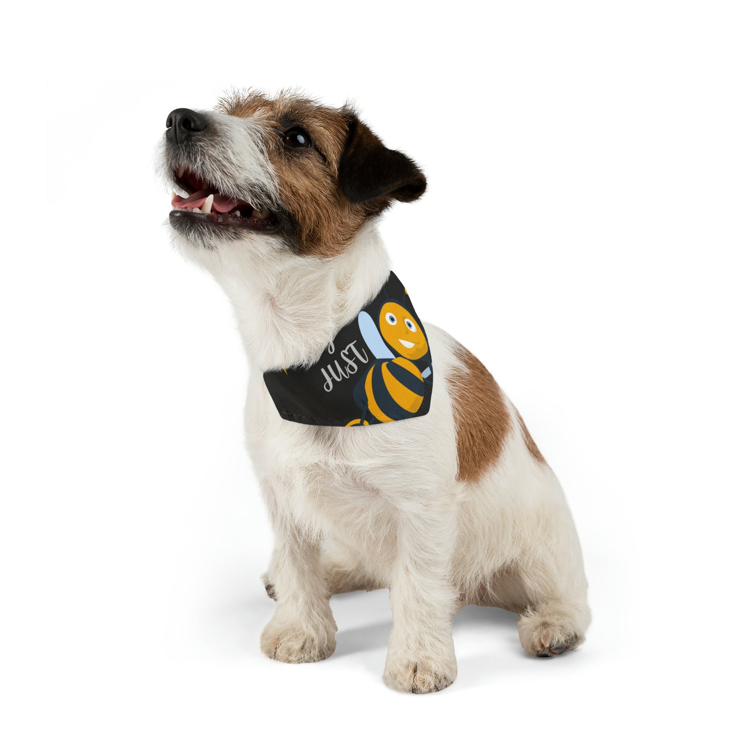 Hey Just Bee Pet Bandana Collar