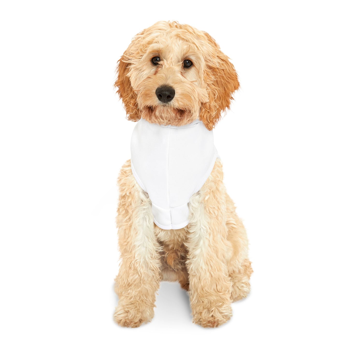 HJB KIND Pet Hoodie