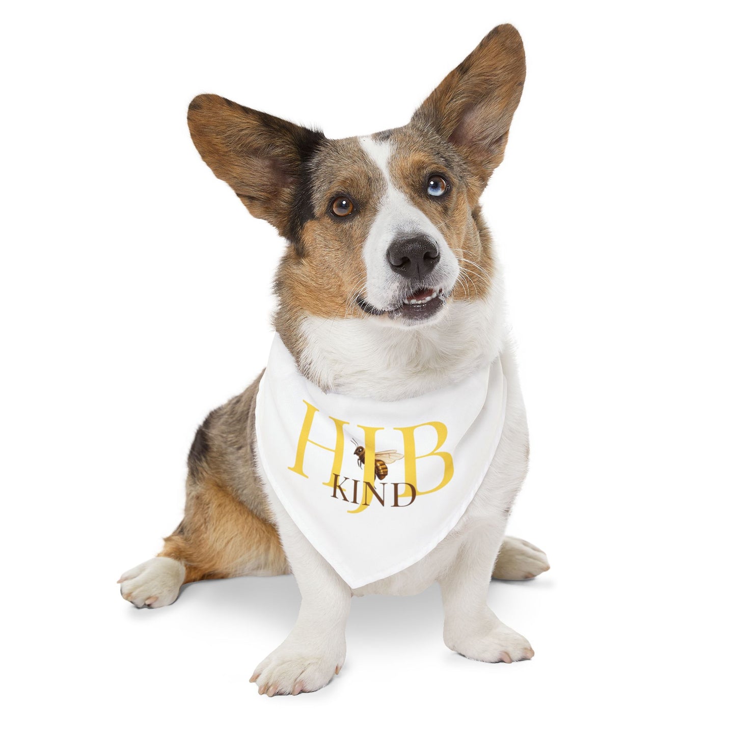 HJB Kind Pet Bandana Collar