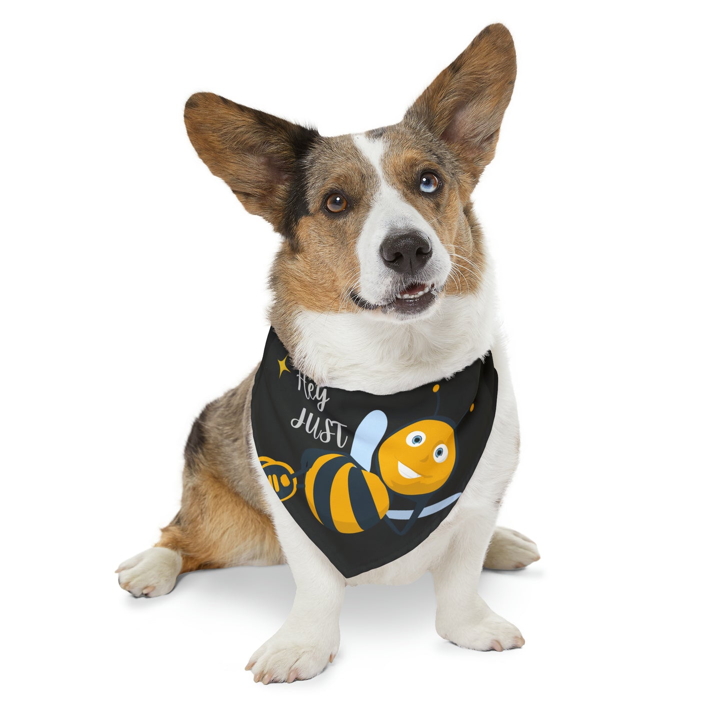 Hey Just Bee Pet Bandana Collar