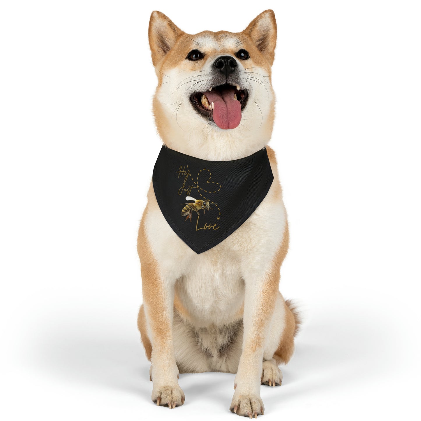 Hey Just Bee Love Pet Bandana Collar