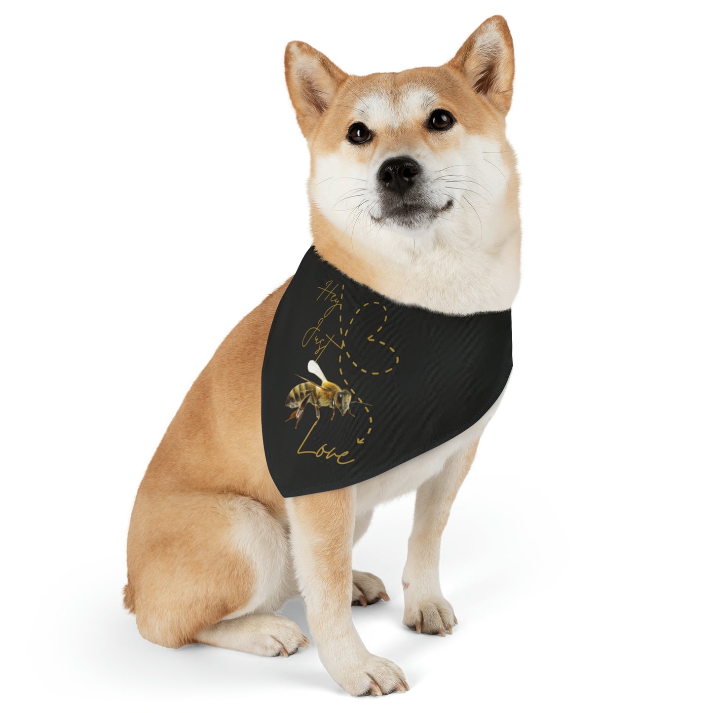 Hey Just Bee Love Pet Bandana Collar